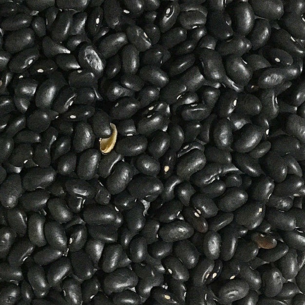 Fotografía de una composición artística creada con alubias negras.alubia negra.